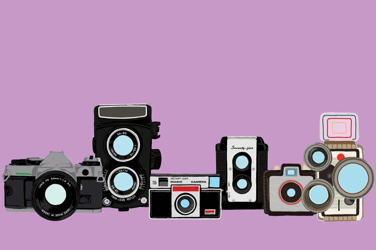 Cameras Lavender