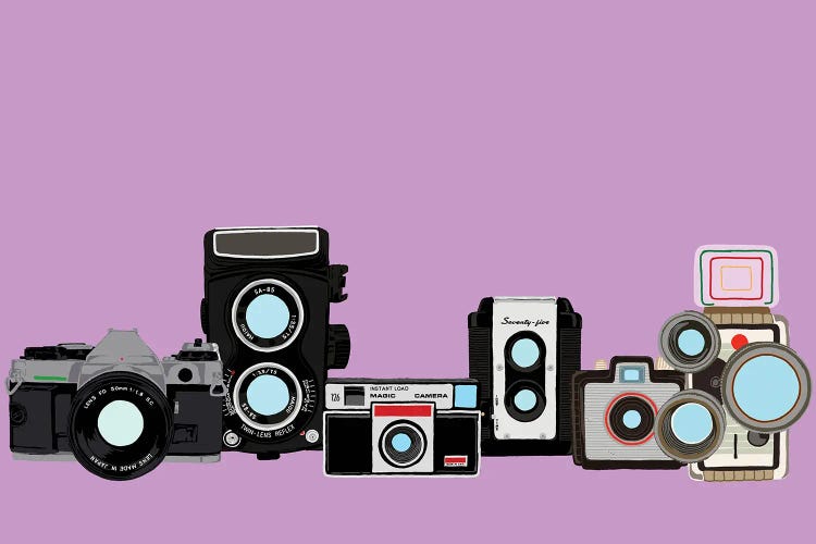 Cameras Lavender