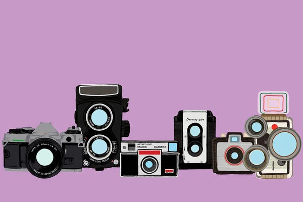 Photography As A Hobby: Cameras Lavender by Jaymie Metz