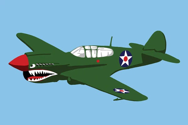 Military Aircraft: Kittyhawk by Jaymie Metz