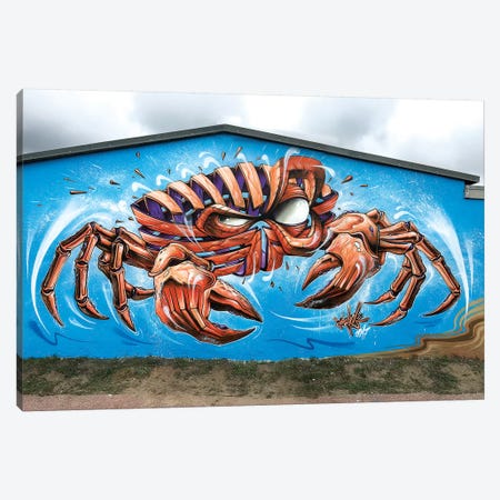 Crab Wall Canvas Print #JYN10} by JAYN Canvas Art