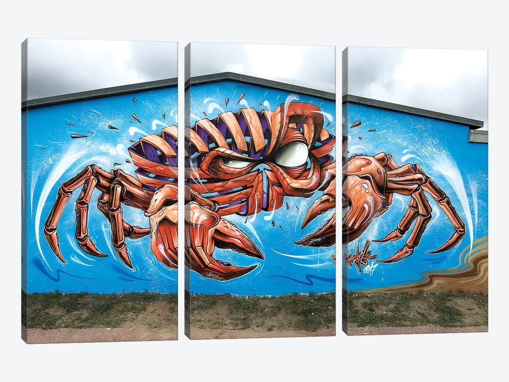 Crab Wall by JAYN 3-piece Canvas Artwork