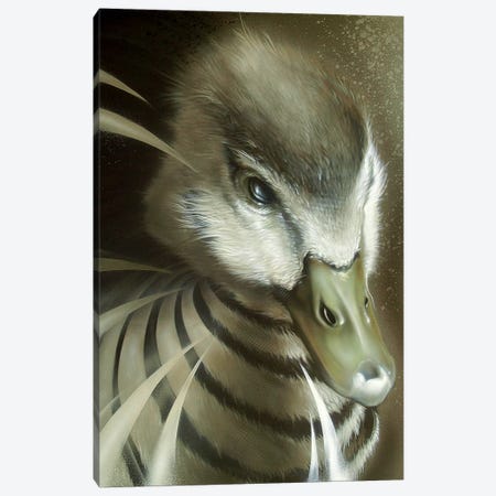 Dynamic Duck Canvas Print #JYN14} by JAYN Canvas Art Print