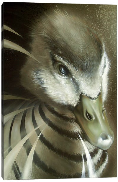 Dynamic Duck Canvas Art Print - JAYN