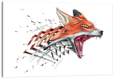 Fox Canvas Art Print - Fox Art