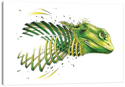 Bearded Dragon Canvas Art Print - Lizard Art