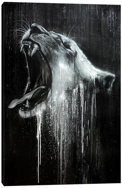 Lion in Black & White Canvas Art Print - Street Art & Graffiti