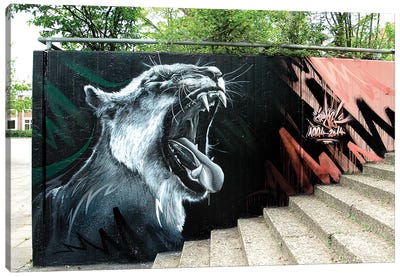 Lion Wall I Canvas Art Print - Street Art & Graffiti