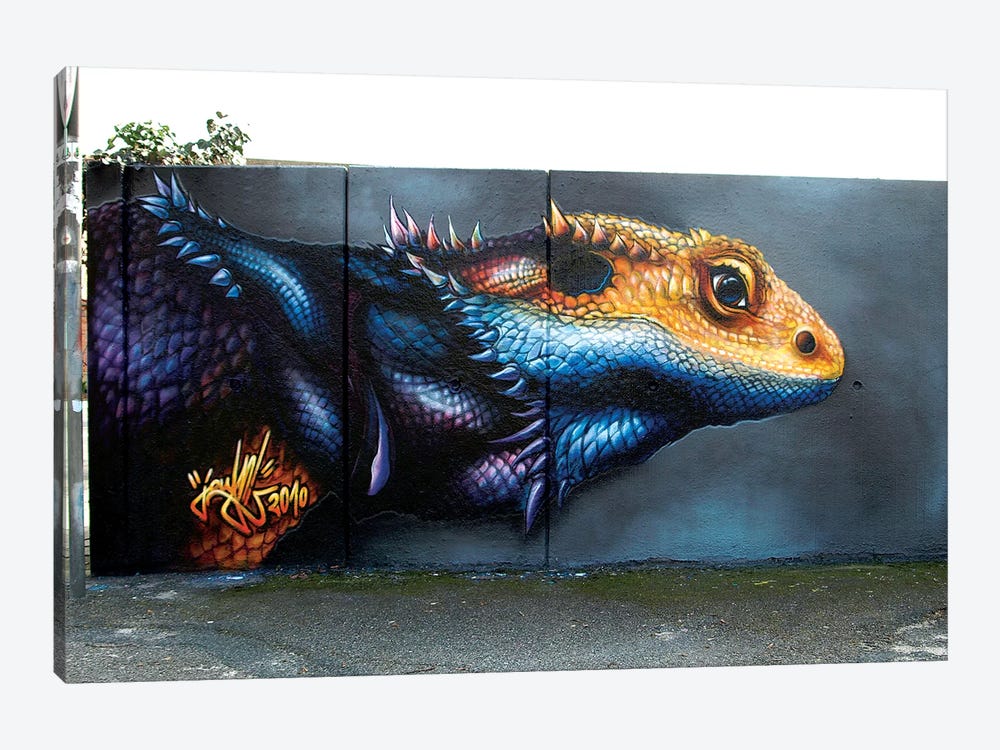 Lizard Wall I  by JAYN 1-piece Canvas Wall Art