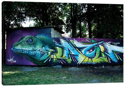 Lizard Wall II Canvas Art Print - Street Art & Graffiti