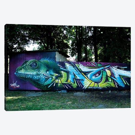 Lizard Wall II Canvas Print #JYN35} by JAYN Canvas Art Print