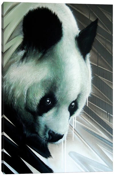 Panda Canvas Art Print - JAYN