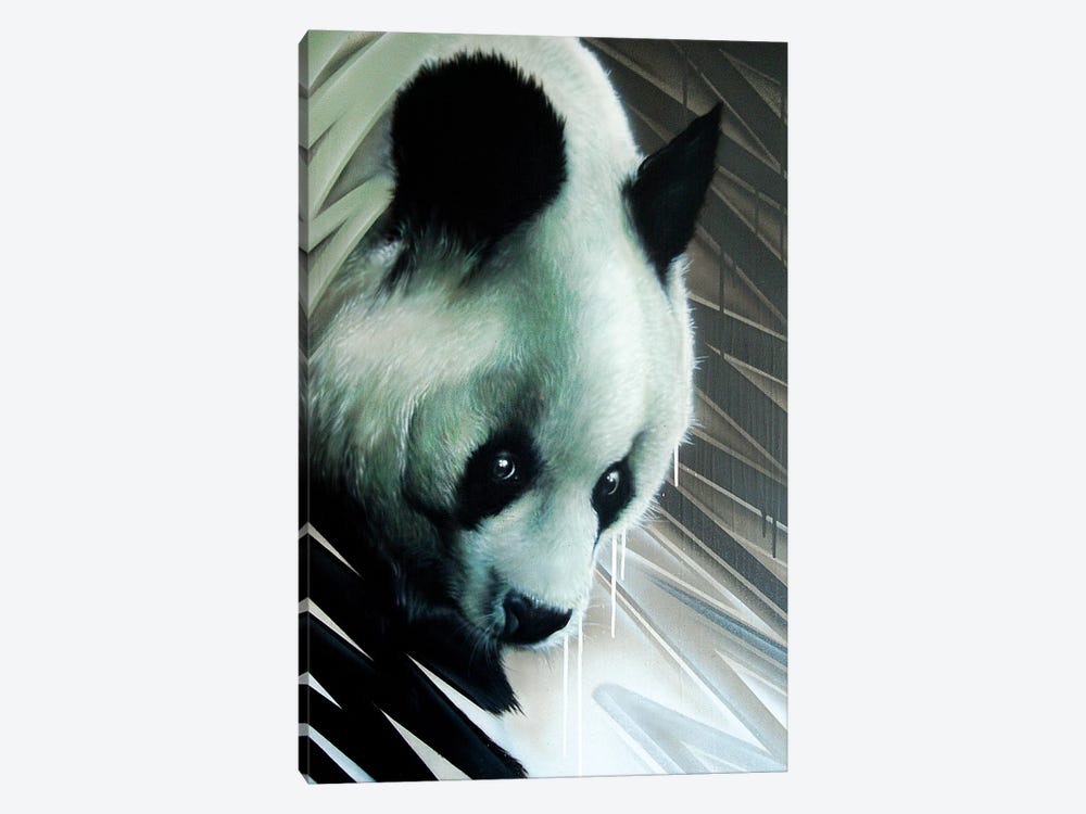 Panda by JAYN 1-piece Canvas Print
