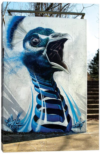 Peacock Wall Canvas Art Print - Street Art & Graffiti