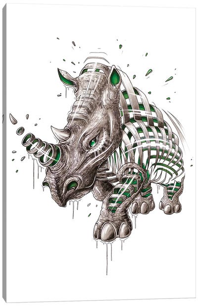 Rhino Slice Canvas Art Print - Rhinoceros Art