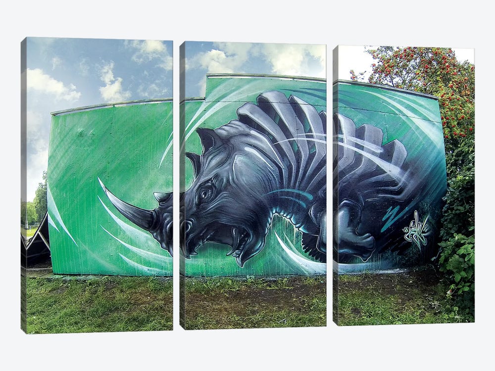 Rhino Wall by JAYN 3-piece Canvas Artwork