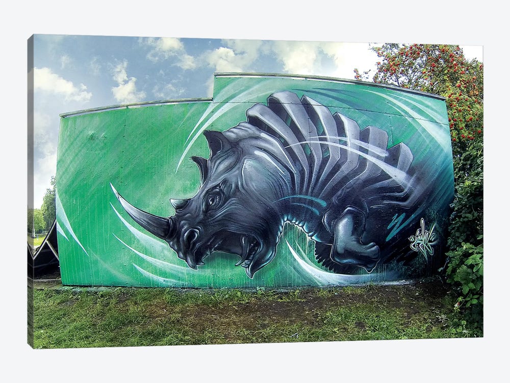 Rhino Wall by JAYN 1-piece Canvas Artwork
