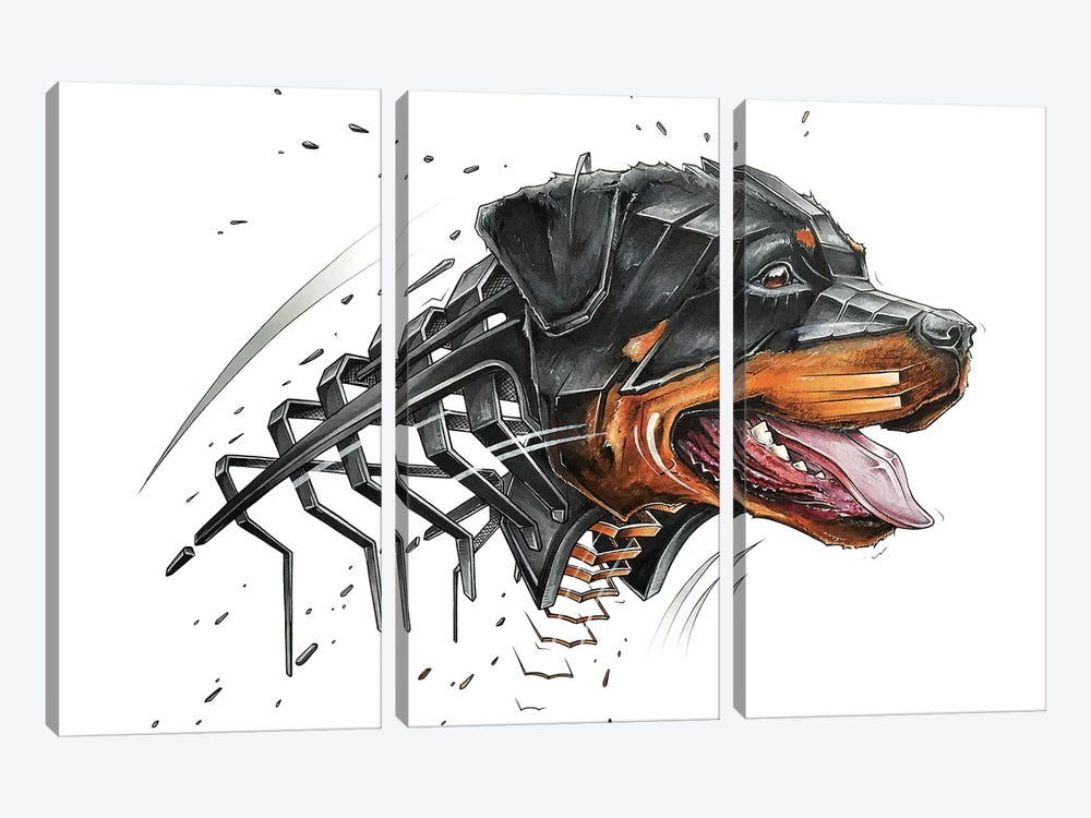 Rottweiler by JAYN 3-piece Canvas Print