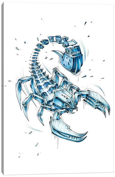 Scorpion Slice Canvas Art Print - JAYN