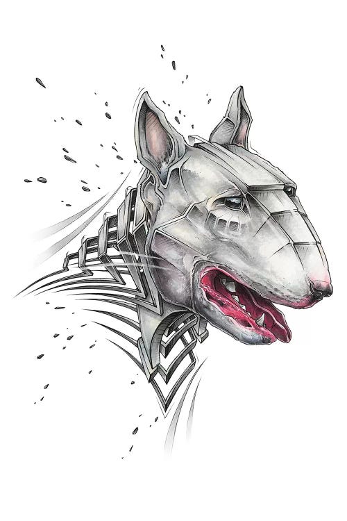 Bull Terrier