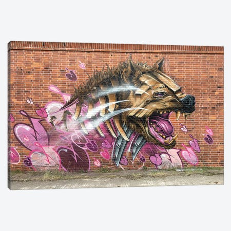 Hyena Wall Canvas Print #JYN67} by JAYN Canvas Artwork