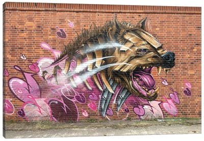 Hyena Wall Canvas Art Print