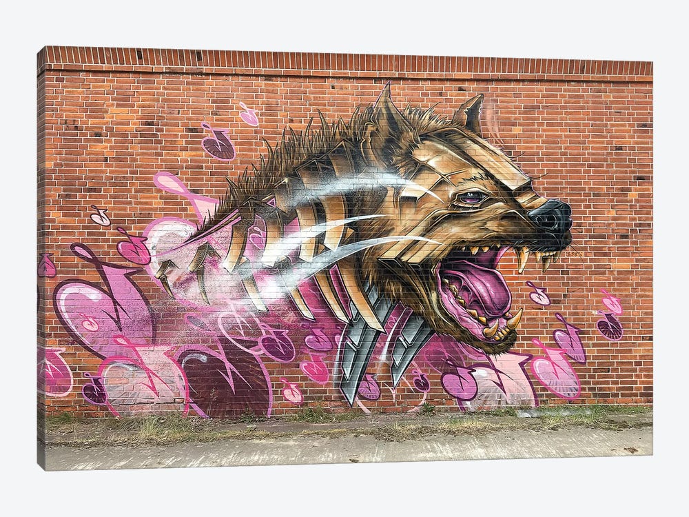 Hyena Wall by JAYN 1-piece Canvas Wall Art