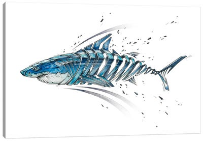 Shark Canvas Art Print - JAYN
