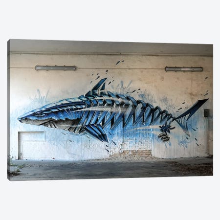 Shark Wall II Canvas Print #JYN70} by JAYN Canvas Artwork