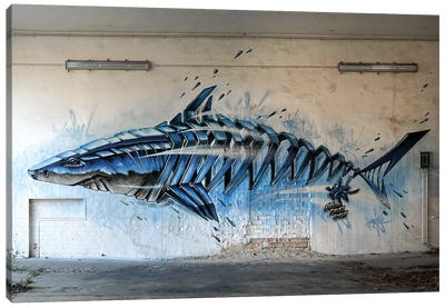 Shark Wall II Canvas Art Print - Shark Art