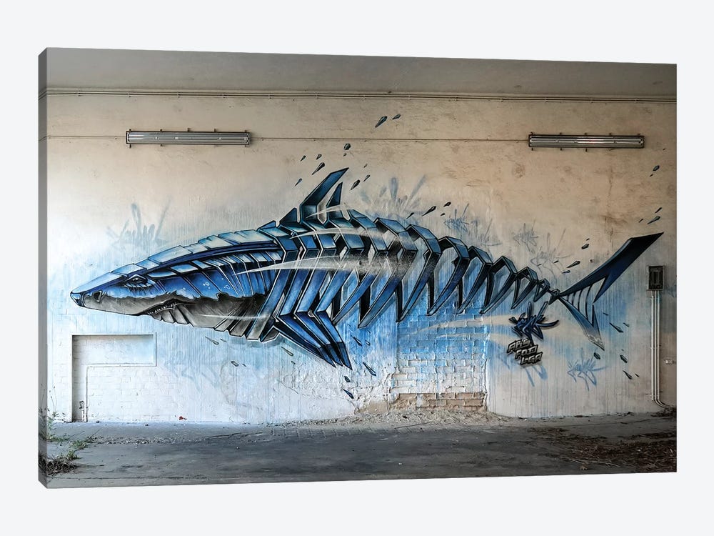 Shark Wall II by JAYN 1-piece Canvas Wall Art