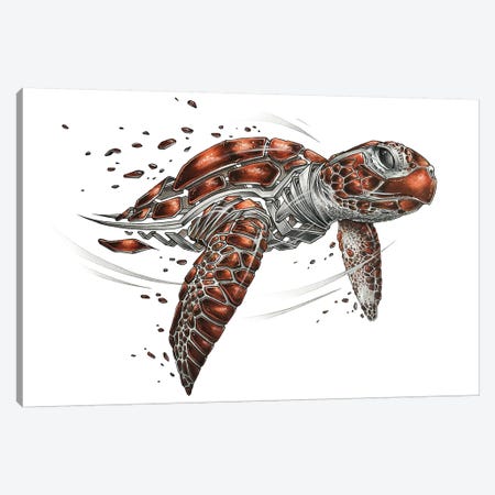 Turtle Canvas Print #JYN71} by JAYN Canvas Art