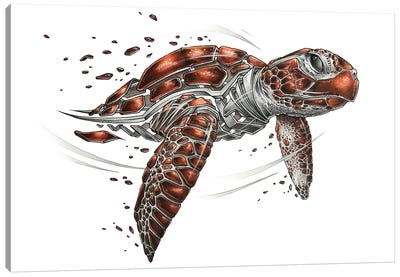 Turtle Canvas Art Print - Turtle Art