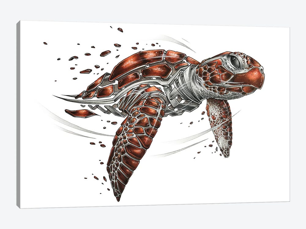 Turtle by JAYN 1-piece Canvas Print