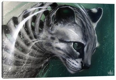 Wildcat Slice Canvas Art Print - JAYN