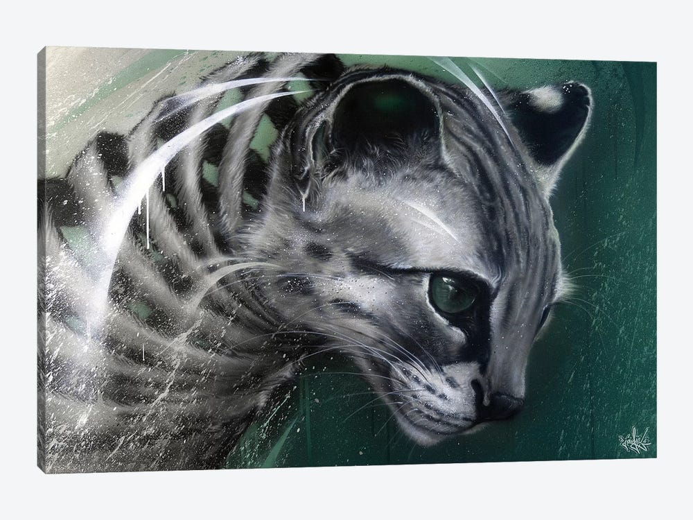 Wildcat Slice by JAYN 1-piece Canvas Print