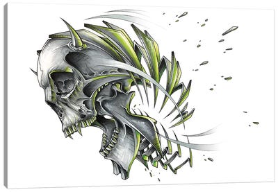 Skull Slice Canvas Art Print - Horror Art