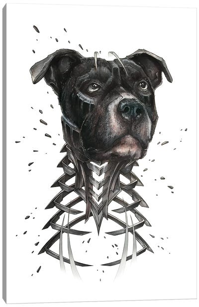 Black Pitbull Slice Canvas Art Print - Pit Bull Art