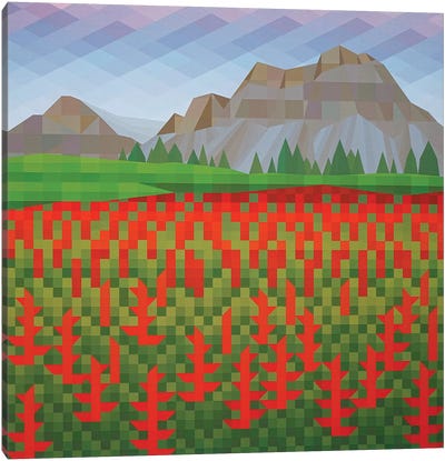 Field of Poppies Canvas Art Print - Jun Youngjin