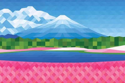 Pink Fields by Jun Youngjin acrylic art print
