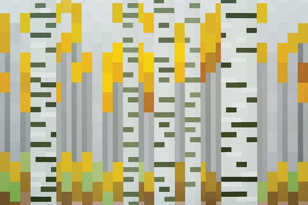 Jun Youngjin: Aspens by Jun Youngjin