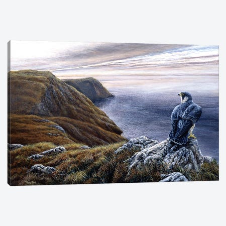 Coastal Skies - Peregrine Canvas Print #JYP100} by Jeremy Paul Canvas Wall Art