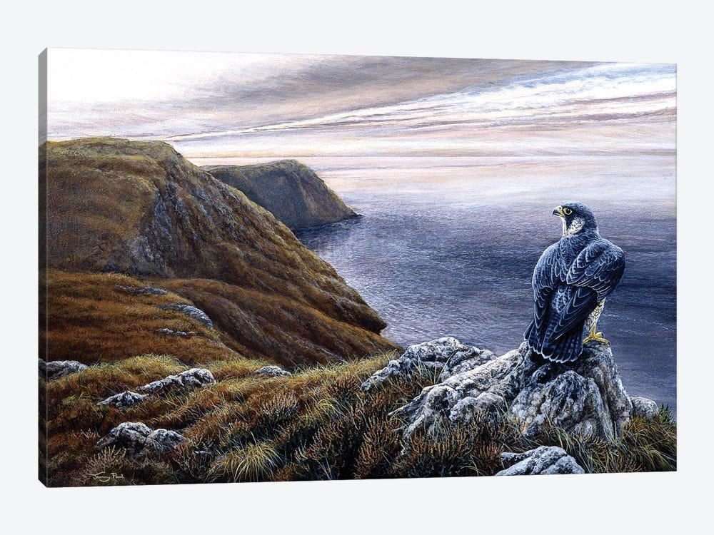 Coastal Skies - Peregrine by Jeremy Paul 1-piece Canvas Print