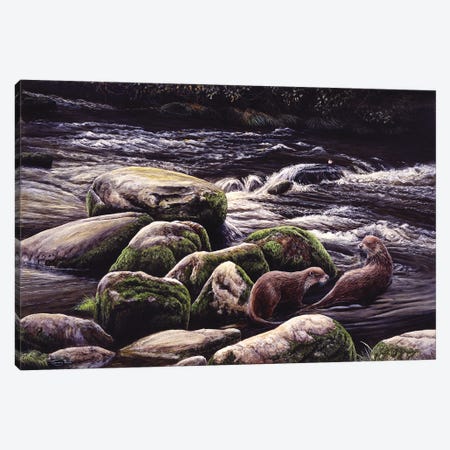 Running Waters - Otters And Dipper Canvas Print #JYP102} by Jeremy Paul Canvas Wall Art