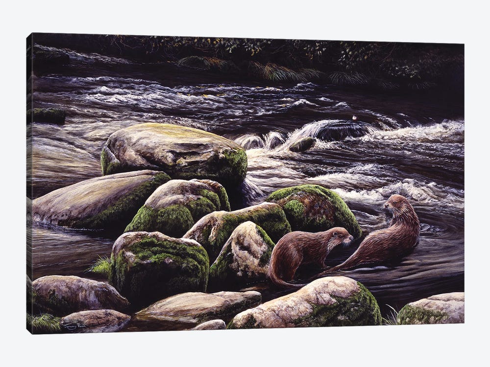 Running Waters - Otters And Dipper by Jeremy Paul 1-piece Canvas Art Print