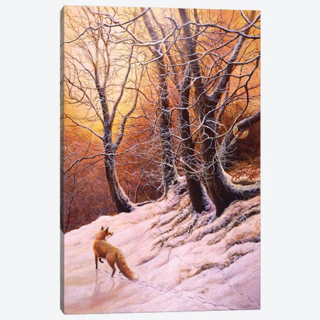 Winter Glow - Fox And Pheasant Canvas Print #JYP103} by Jeremy Paul Canvas Artwork