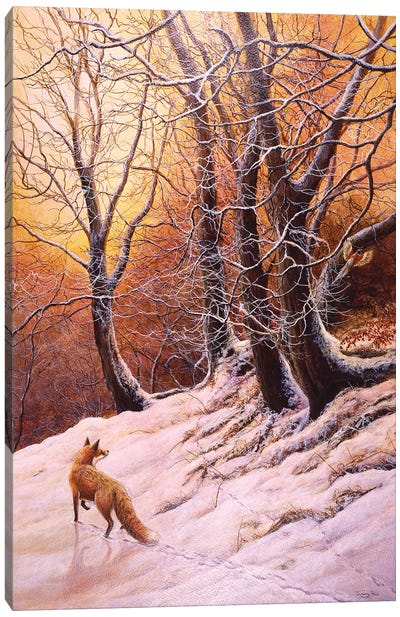 Winter Glow - Fox And Pheasant Canvas Art Print - Rustic Winter