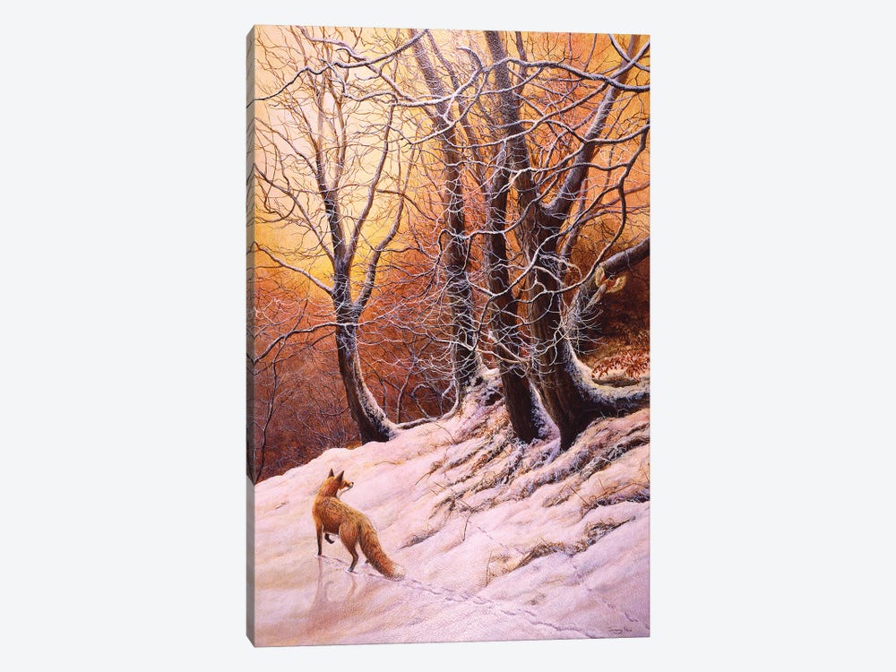 Winter Glow - Fox And Pheasant by Jeremy Paul 1-piece Canvas Art