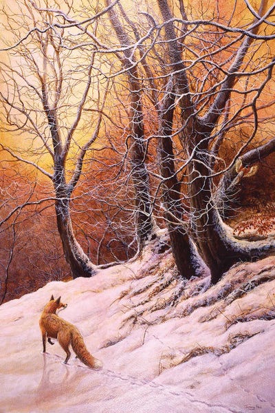 Jeremy Paul: Winter Glow - Fox And Pheasant by Jeremy Paul