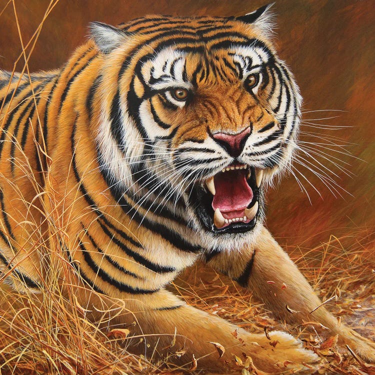 'Rush' - Tiger by Jeremy Paul wall art